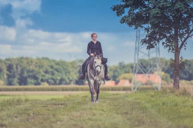  Riding excursions 