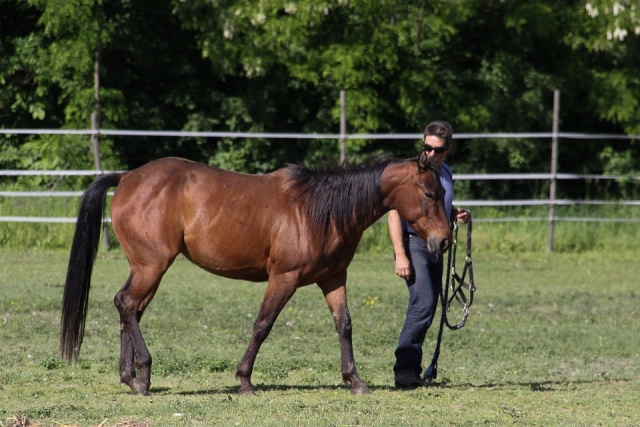  Der große Freund des Menschen 