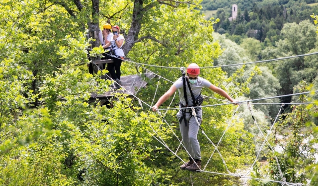  Suspension bridge in the woods