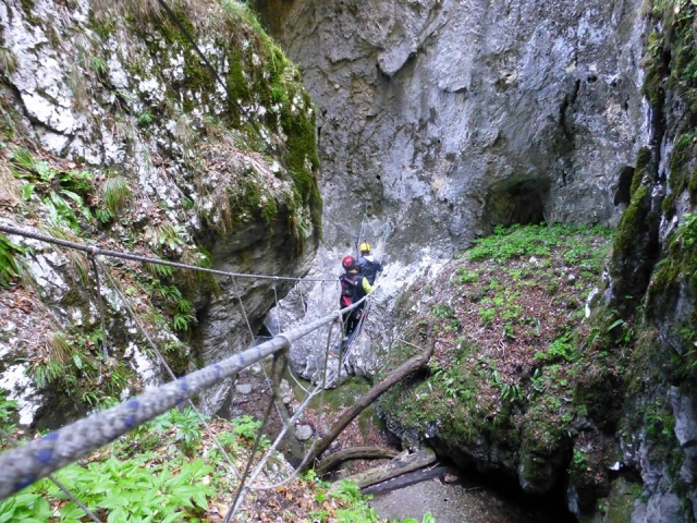  Tarzaning 