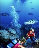  Explorez les meilleurs fonds marins d'Italie 