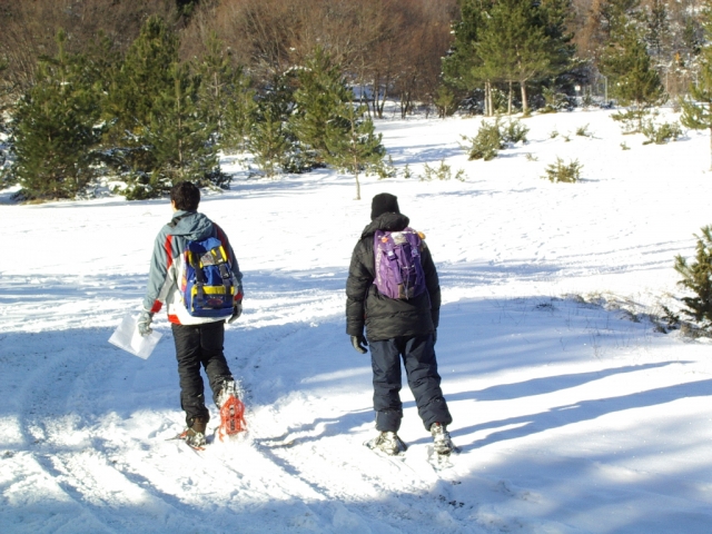  Orientation on the snow 