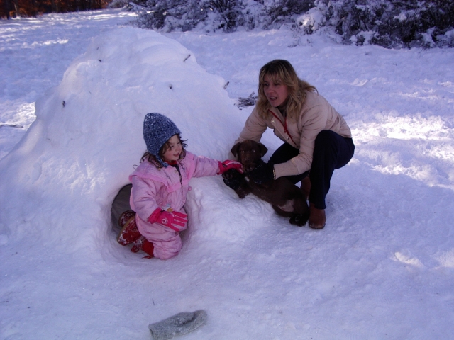  Entertainment for the whole family 