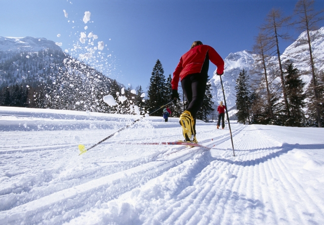  a day full of health 