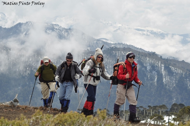  walking all together 