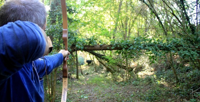  shooting with a bow in the woods