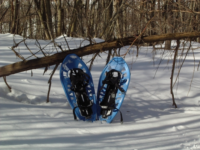  The Snowshoes 