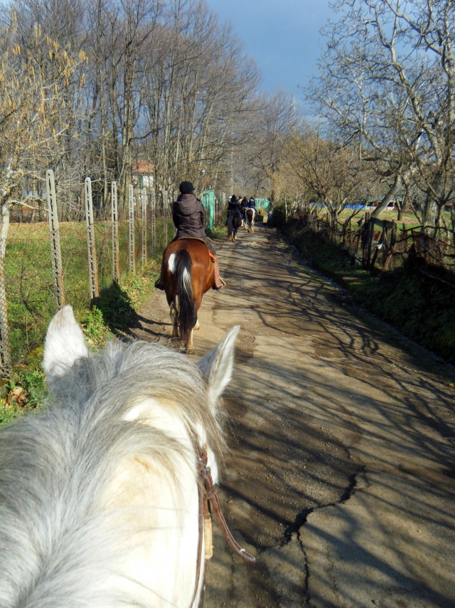 escursione a cavallo vicino napoli