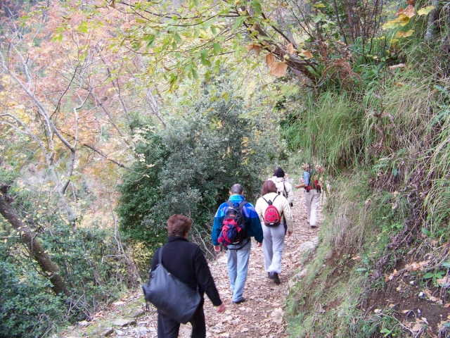  Trekking