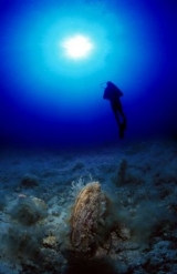  Inmerso con nosotros 