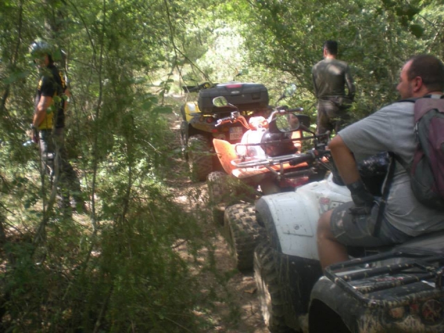 Traffico di quad