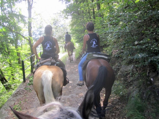  Trekking in den Bergen 