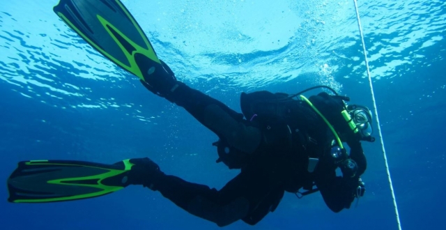  Diving 