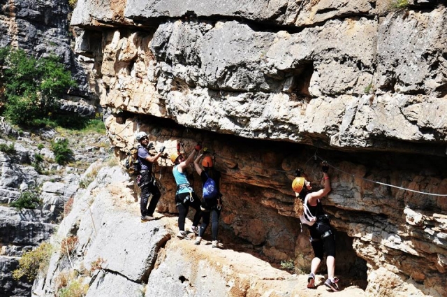  Climbing 