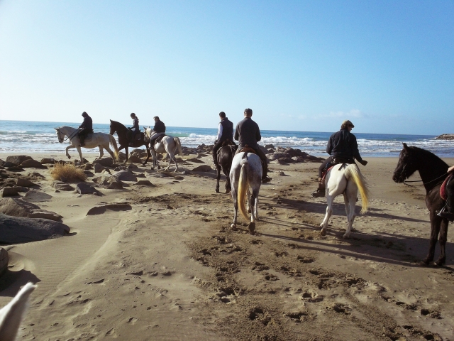  excursions to the sea 