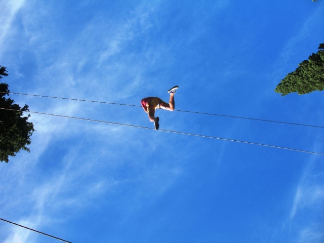  Émotions suspendues parmi les arbres 