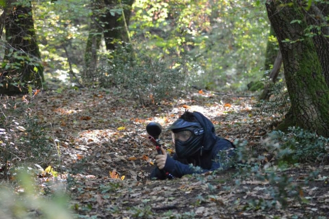  tratando de morder en el bosque 