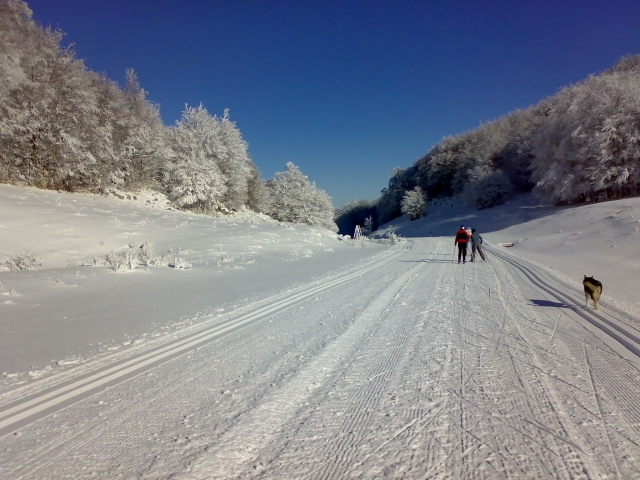  The snow-capped mountains 