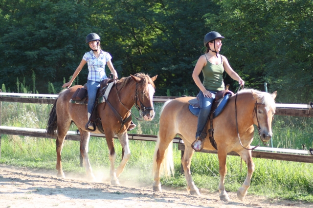  American riding 
