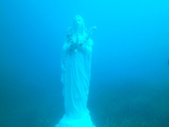  madonnasub 