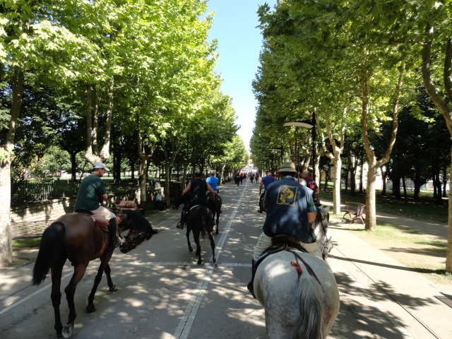  Caminhe a cavalo em Montebuono 