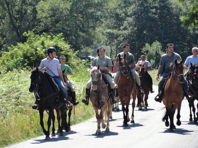 Caminhe com os cavaleiros 