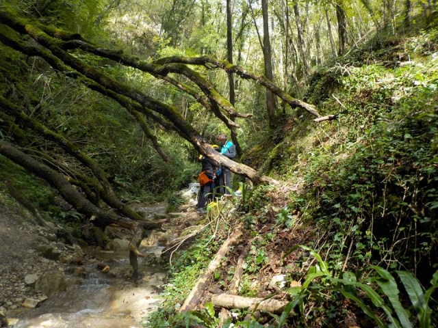  canyoning 