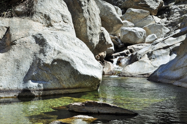  The torrent 