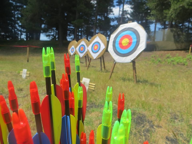  The targets 