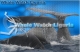 Whale Watch Liguria