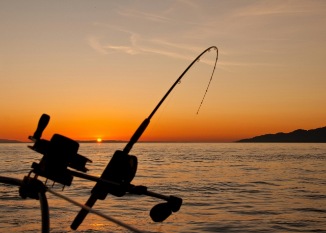  pesca desde barco