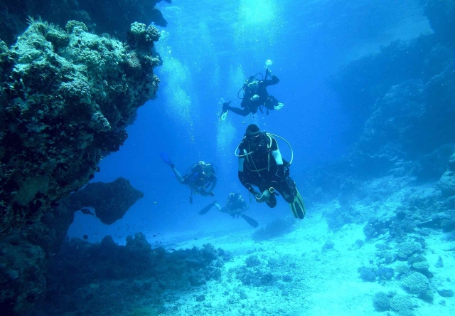  Mergulho 