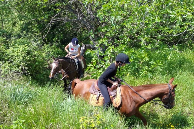  Caminatas a caballo 