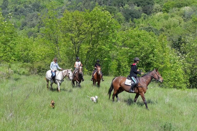 Montar a caballo en el verde 