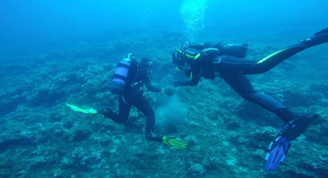  Dive sub 