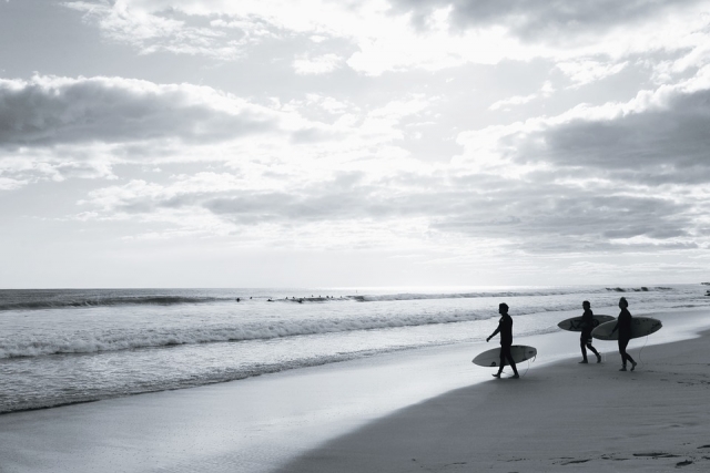  surf4 