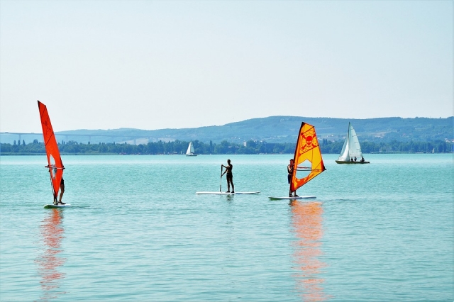  windsurf 