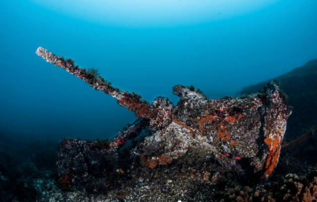  wreck 