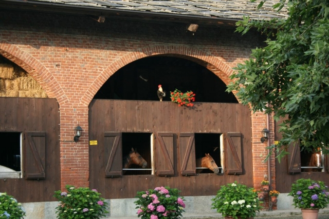 e-19636880-le-scuderie14909462803108.jpg