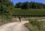 Pedalando tra le colline