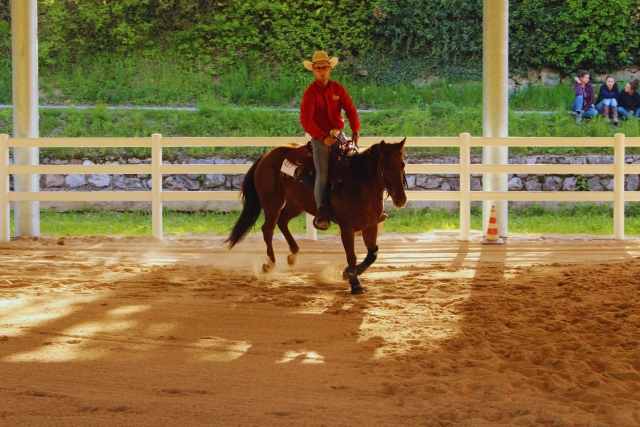 Gallop