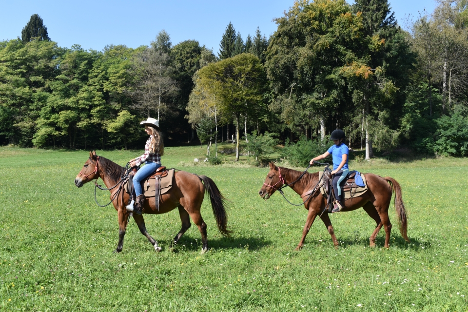  Riding in the greenery 
