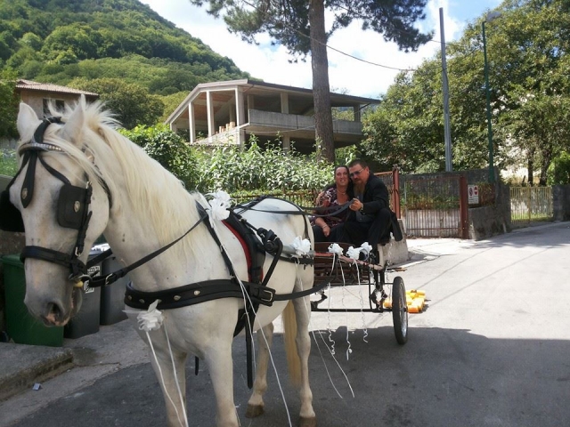  Carriage ride 
