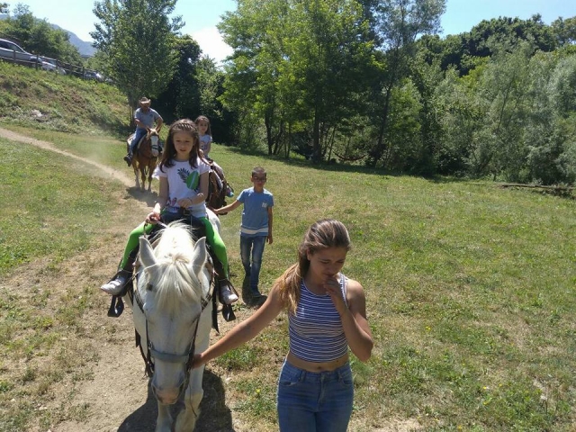  Everyone can have fun riding a horse