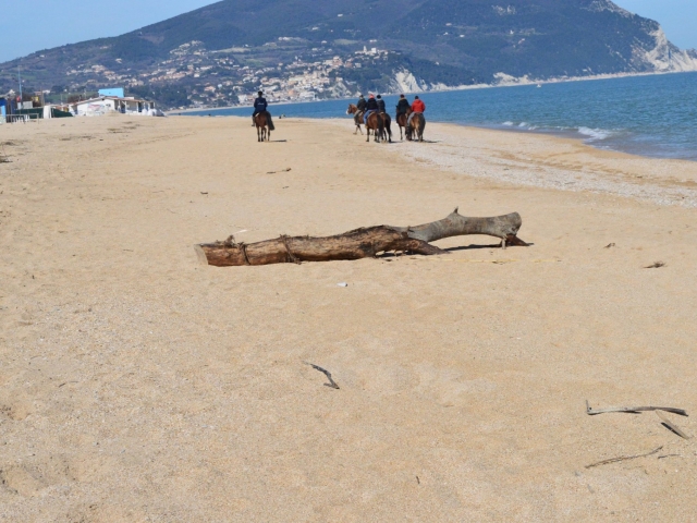  en la silla de silla de silla de Sardinia 