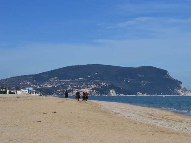  Galopando en las playas de sardinia 