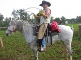  Cowboy 