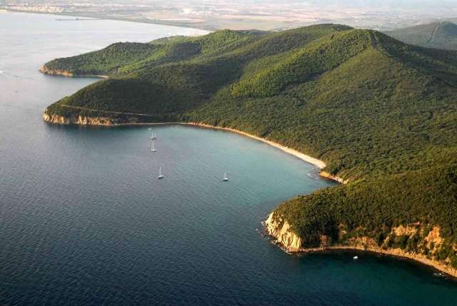  Cala Violina - Scarlino 