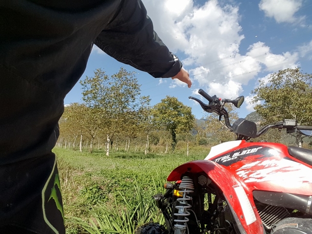  Quads and nature 