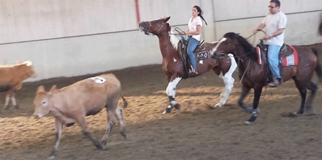 ¡A caballo! 